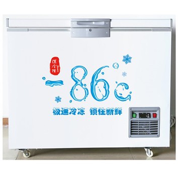 Контейнер за сух лед